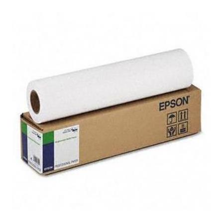 EPSON C13S042013 Water Resistant Matte Canvas, rolls 17'' x 12, 2m